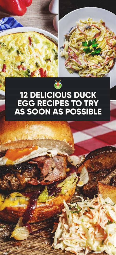 12 Delicious Duck Egg Recipes To Try As Soon As Possible