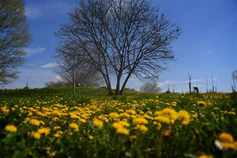 Danas u Srbiji sunčano i toplo vreme temperatura do 23 stepena