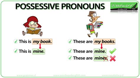 Possessive Pronouns In English Grammar Lesson哔哩哔哩bilibili