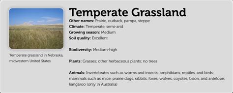 6 9 Terrestrial Biomes Biology Libretexts