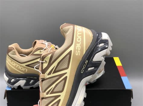 Salomon XT 6 Clear Safari SneakerCool