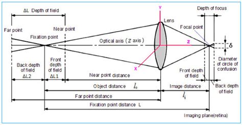 What is Depth of Focus vs. Depth of Field? — Camera Essentials