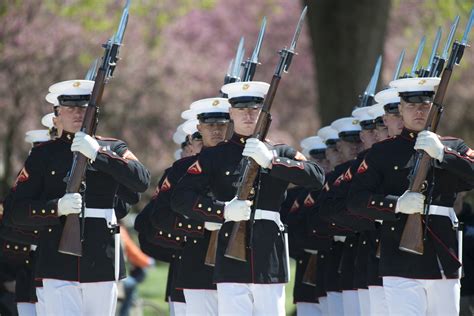 DVIDS Images Honor Guard Teams Participate In Joint Service Drill