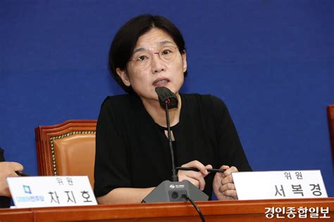 [포토] 발언하는 서복경 민주당 혁신기구 위원