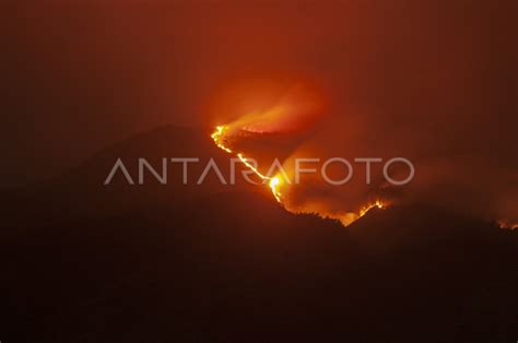 Gunung Merbabu Ditutup Untuk Pendakian Akibat Kebakaran Antara Foto