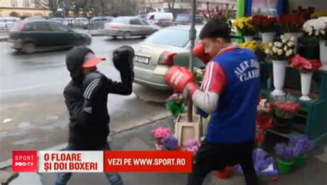 Fratii Care Vor Sa Cucereasca Boxul Din Romania Cand Nu Sunt In Ring