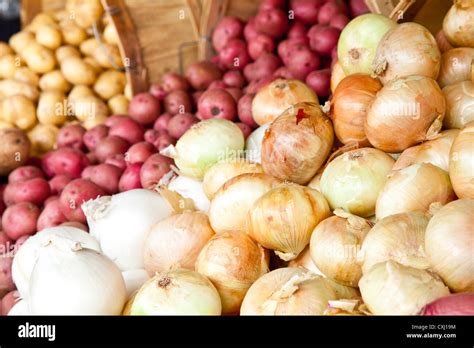 Barrels Of Potatoes And Onions At The Local Farmers Market Stock Photo