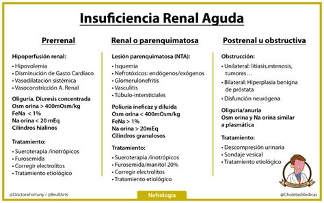 Insuficiencia Renal Aguda Clasificación etiológica Chuletas Médicas