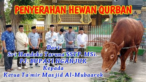 Penyerahan Hewan Qurban Hari Raya Idul Adha Bupati Nganjuk Langsung