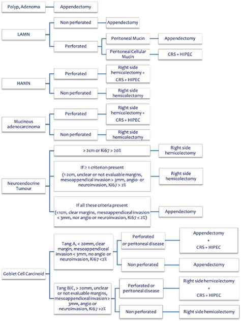 Primary Appendiceal Cancer Treatment Lamn Low Grade Appendiceal