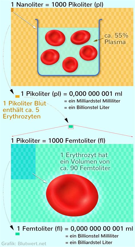 Wie Viel Ist Ein Femtoliter Fl Inkl Umrechnen