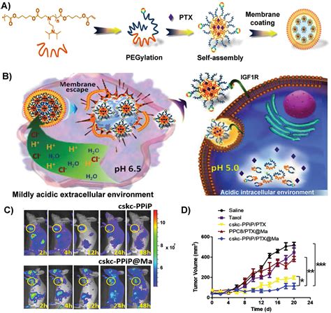 Macrophage Cell Membranecloaked Nanoplatforms For Biomedical