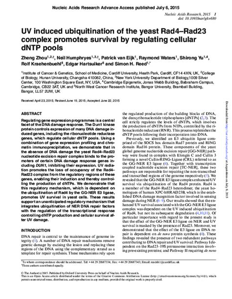 Pdf Uv Induced Ubiquitination Of The Yeast Rad4rad23 Complex