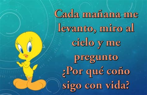 Total 56 Imagen Frases Piolin Meme Abzlocal Mx