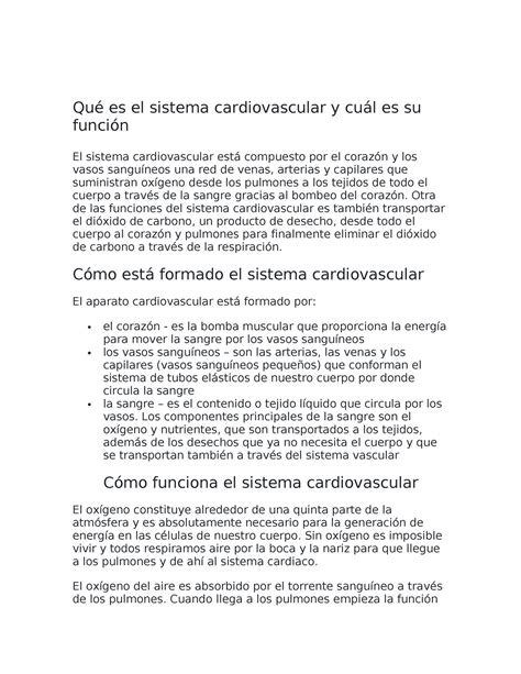 Qu Es El Sistema Cardiovascular Y Cu L Es Su Funci N Qu Es El