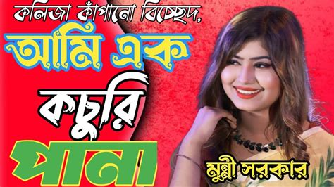 বন্ধু আমি এক কচুরিপানা।শিল্পীডিজে মুন্নি সরকার কলিজায় লাগার মত একটি