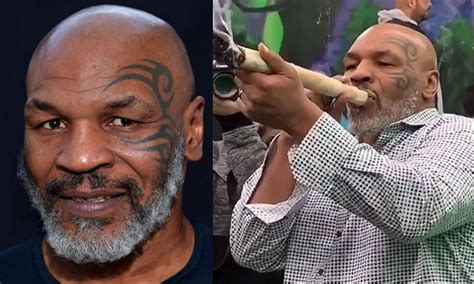 Popular Boxer Mike Tyson Reveals He Smokes 40000 Weed Monthly Simply Entertainment Reports