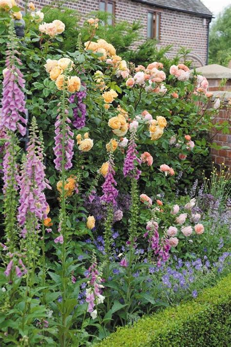 Roses In Mixed Borders Rose Garden Design Romantic Garden Garden