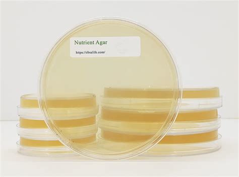 Nutrient Agar Plate Prepoured Ready To Use 100mm Petri Dish Package