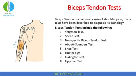 Bicep Tendonitis Causes Symptoms Treatment And More Atelier Yuwa