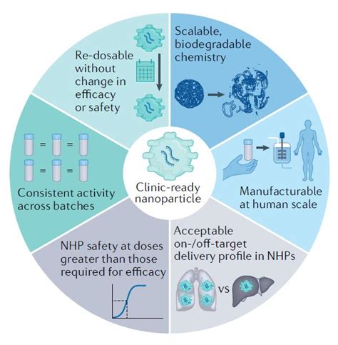 Nature系列综述：rna疗法的递送系统，及其成功的六大特征澎湃号·湃客澎湃新闻 The Paper