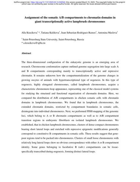 PDF Assignment Of The Somatic A B Compartments To Chromatin Domains