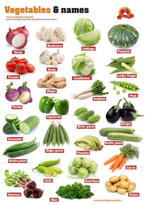 Vegetables and names | Vegetable pictures, Name of vegetables, List of ...