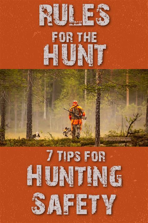 Rules For The Hunt 7 Tips For Hunting Safety The Organic Prepper