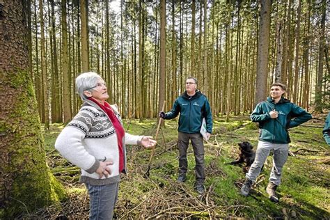 Gemeinsam Auf Der Suche Nach Borkenk Fern