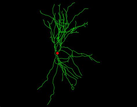 Detailed Cell Information TEM1