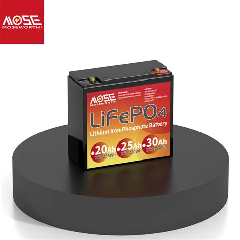 1 2 Pack 12v Lifepo4 Akku 25ah Lithium Batterie Bms Rv Solarbatterie Wohnmobil Ebay