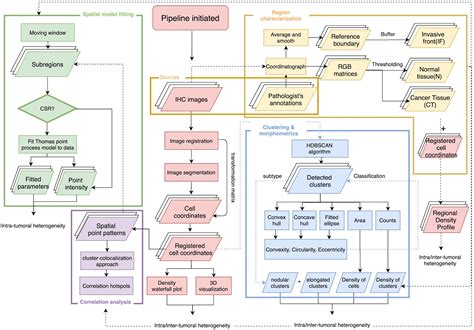 Frontiers Digital Pathology Analysis Quantifies Spatial Heterogeneity