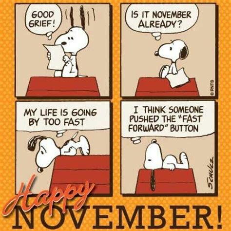 Happy November Happy November Hello November Snoopy Comics