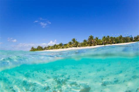 Tropical Island Stock Image Image Of Paradise Beach 29630435