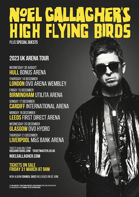 Twickets Noel Gallagher S High Flying Birds Official Fan To Fan