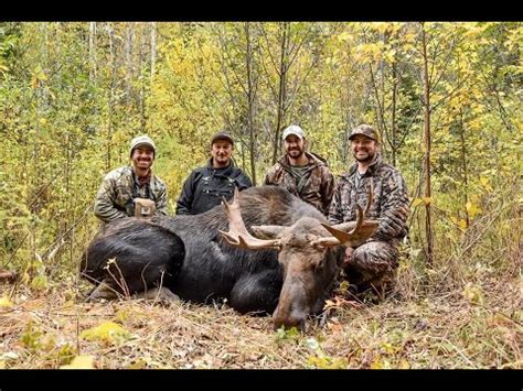 Moose Hunt Success In Alberta Youtube