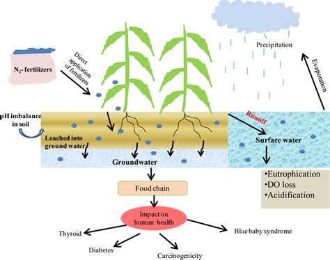 Consequences Of Over Nitrogen Fertilization On The Environment And