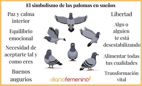 Significado Espiritual De La Paloma Blanca Sale Online Forodelasartes