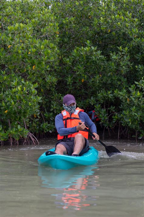 Yucatán Kayak en la Región Riviera Yucatán Yucatán Travel