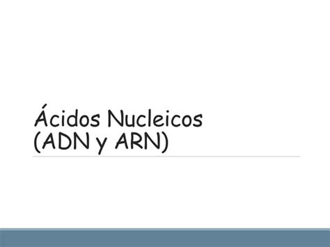 Adn Y Arn Estructura Y Función De Los ácidos Nucleicos Ppt