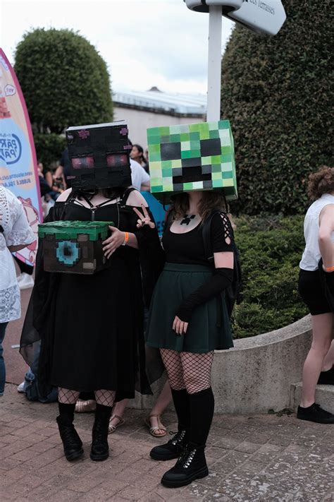 EN IMAGES Festival de manga les adeptes du cosplay défilent dans les