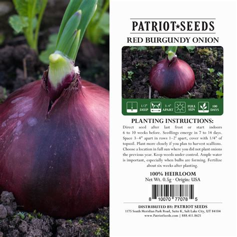 Patriot Seeds Heirloom Red Burgundy Onion Seeds (.5g)