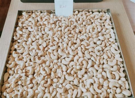 RW Whole Cashew Nut At Rs 510 Kg Whole Cashew Nut In New Delhi ID