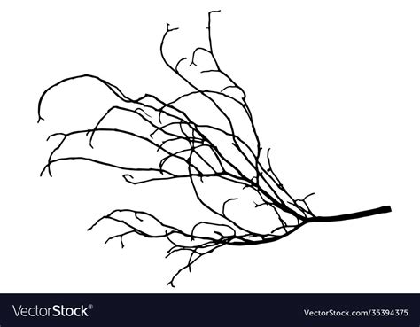 Silhouette tree branch Royalty Free Vector Image