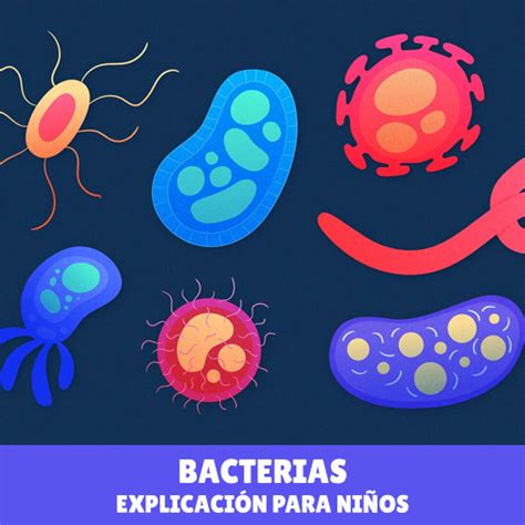 Bacterias Explicación para Niños