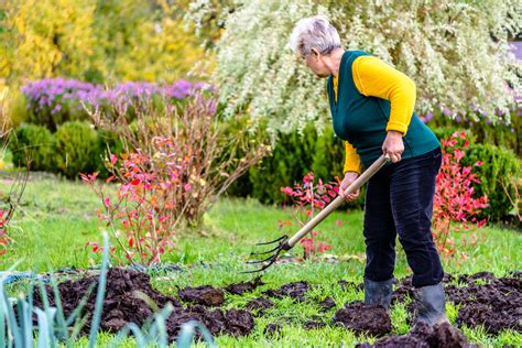 Gem Segarten D Ngen Wann Womit Und Wie Macht Man S Richtig