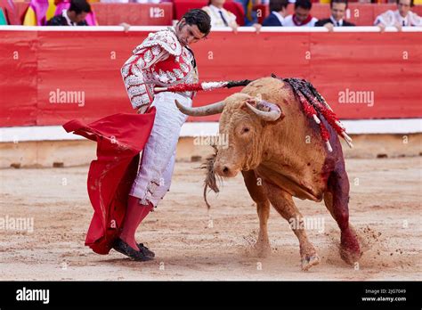 Spanish Bullfighting Morante De La Puebla Challenges A Nunez Del