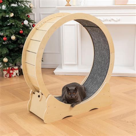 Cat Exercise Wheelferris Cat Wheel Exerciser For Indoor Cats Cat