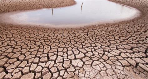 ¿de Preocuparse Esto Significa Que Se Declare Emergencia Por Sequía En