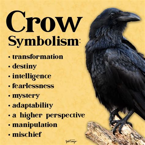 Crow symbolism the spiritual meaning of seeing crows – Artofit